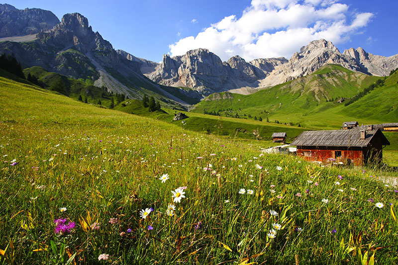 Moena - Val di Fassa